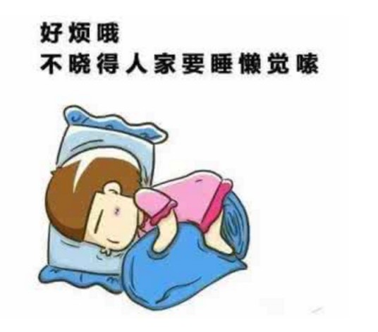 睡懒觉（生物学术语）