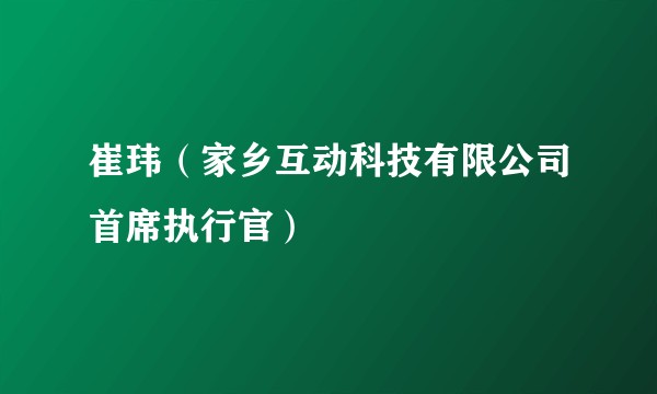 崔玮（家乡互动科技有限公司首席执行官）
