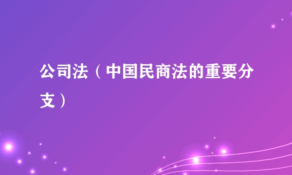 公司法（中国民商法的重要分支）
