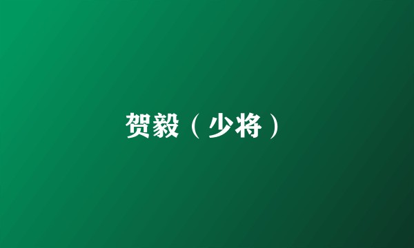 贺毅（少将）