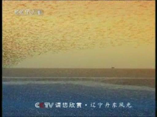 请您欣赏