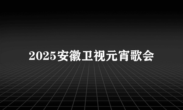 2025安徽卫视元宵歌会