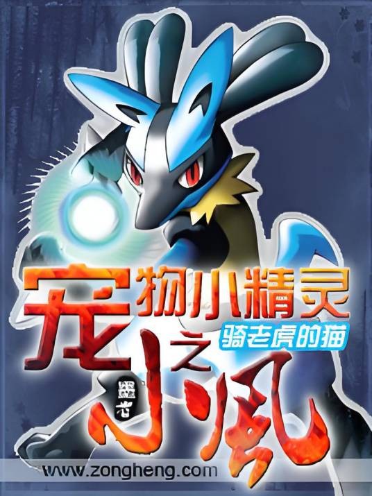 宠物小精灵之小风
