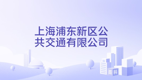 上海浦东新区公共交通有限公司