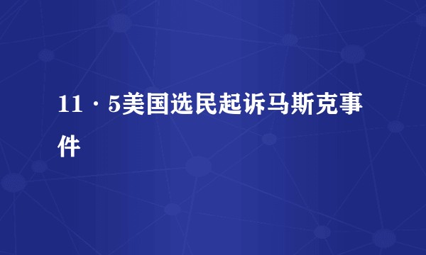 11·5美国选民起诉马斯克事件