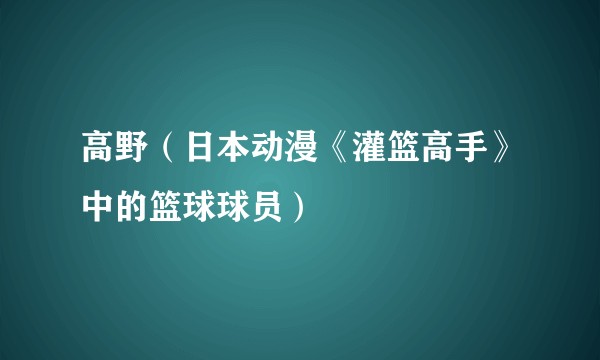 高野（日本动漫《灌篮高手》中的篮球球员）