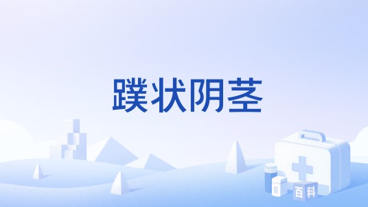 蹼状阴茎