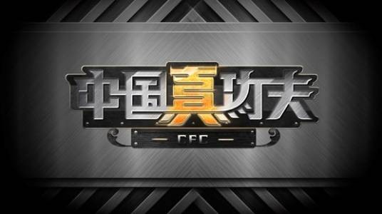 中国真功夫(2013年国家体育总局主办的职业武术散打竞技节目)