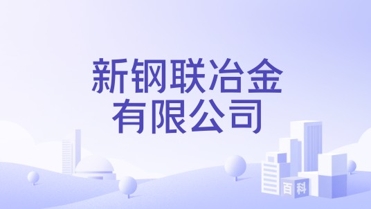新钢联冶金有限公司