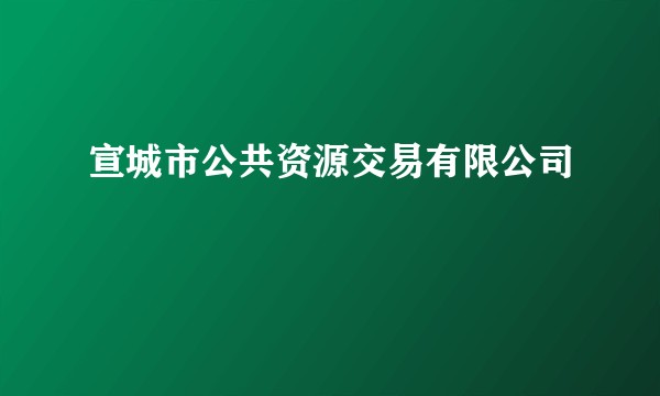 宣城市公共资源交易有限公司