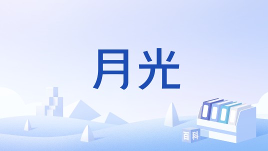 月光（汉语词汇）