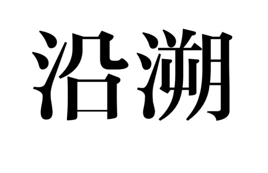沿溯