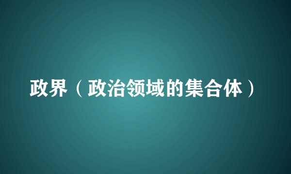 政界（政治领域的集合体）
