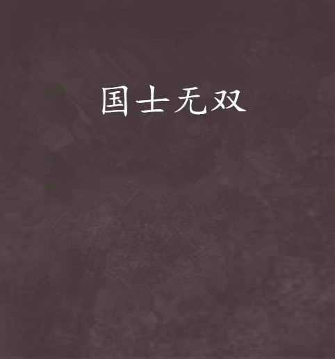 国士无双（骁骑校创作的历史传奇类网络小说）