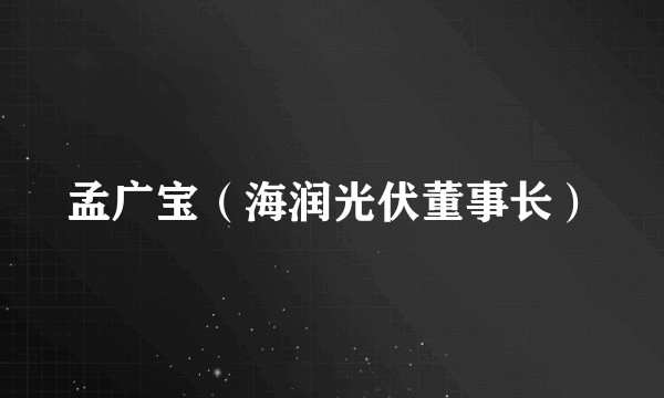 孟广宝（海润光伏董事长）