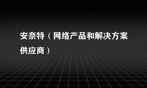 安奈特（网络产品和解决方案供应商）