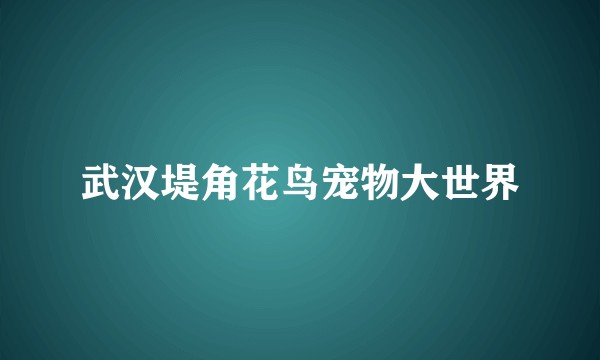 武汉堤角花鸟宠物大世界