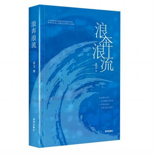 浪奔浪流（2024年深圳出版社有限责任公司出版的图书）