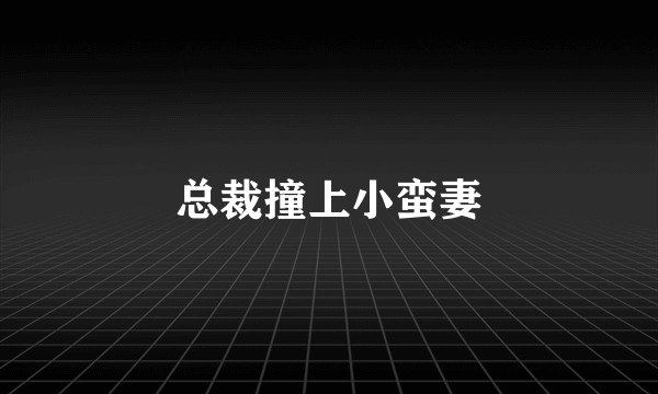 总裁撞上小蛮妻
