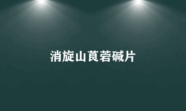 消旋山莨菪碱片