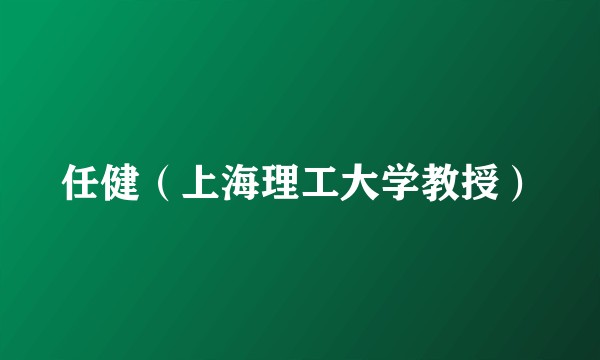 任健（上海理工大学教授）