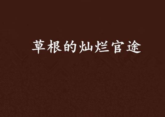 草根的灿烂官途