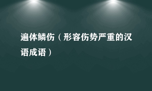 遍体鳞伤（形容伤势严重的汉语成语）