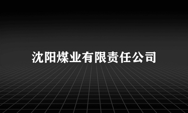 沈阳煤业有限责任公司