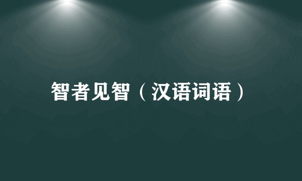 智者见智（汉语词语）