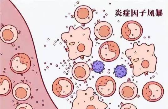 慢性炎症（致炎因子持续存在并且损伤组织引发的炎症）