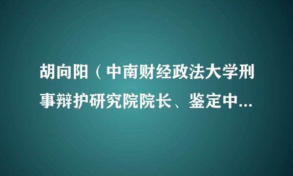 胡向阳（中南财经政法大学刑事辩护研究院院长、鉴定中心主任、全国著名质证专家）