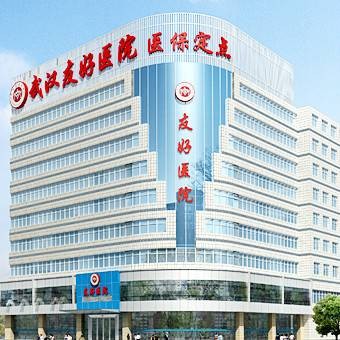 武汉友好医院有限责任公司