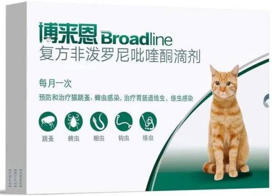 博来恩