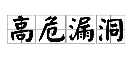 高危漏洞（计算机领域术语）