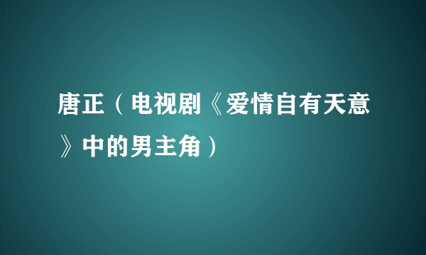 唐正（电视剧《爱情自有天意》中的男主角）