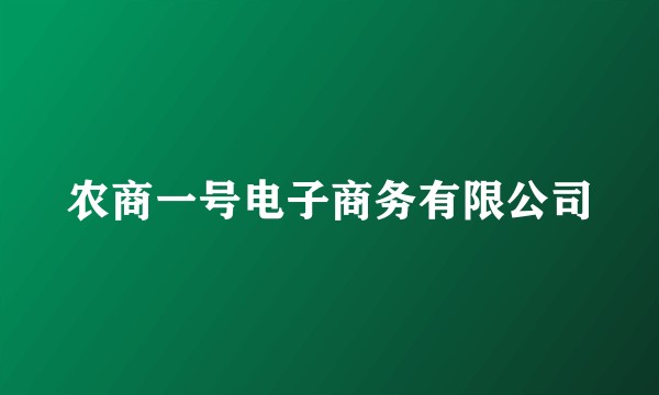 农商一号电子商务有限公司