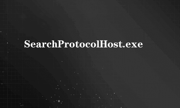 SearchProtocolHost.exe