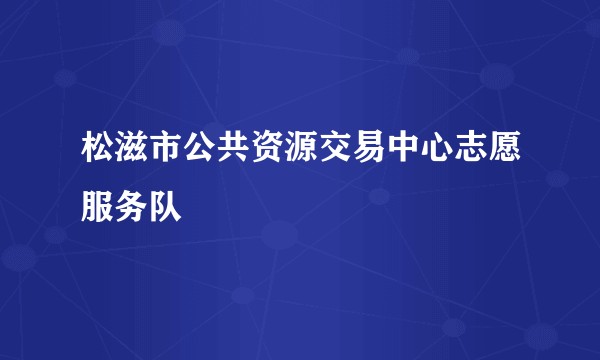 松滋市公共资源交易中心志愿服务队