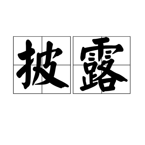 披露