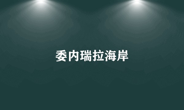 委内瑞拉海岸