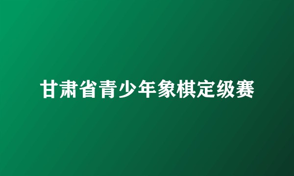 甘肃省青少年象棋定级赛