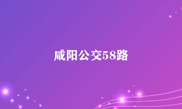 咸阳公交58路