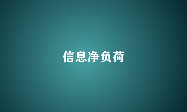 信息净负荷