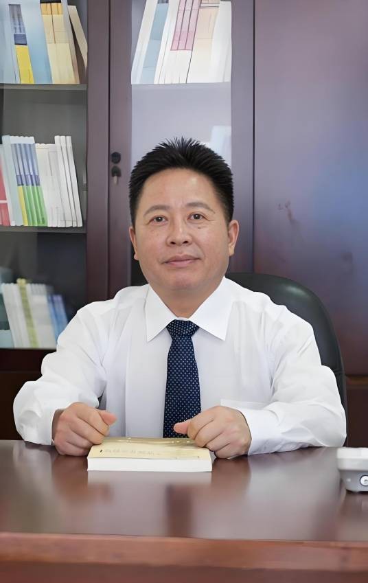 何国华（中国武汉大学经济与管理学院教授）