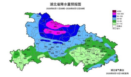 8·10湖北暴雨