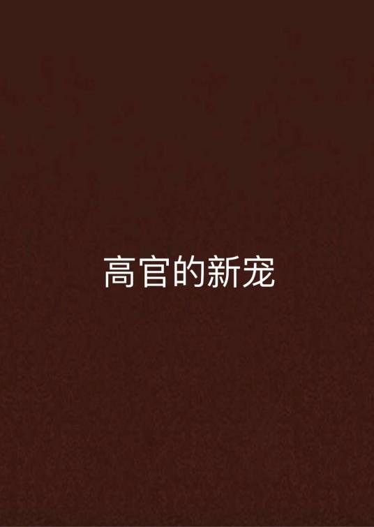 高官的新宠