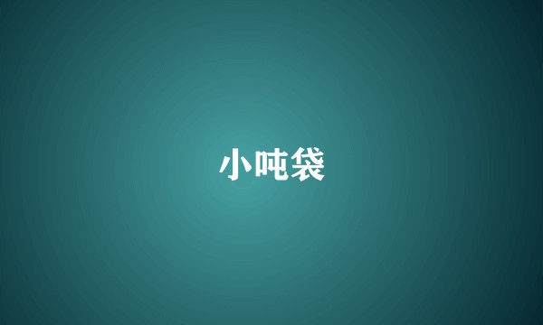 小吨袋