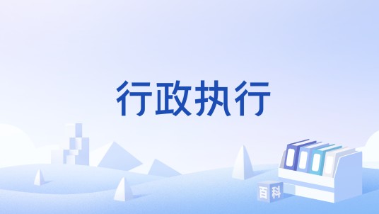 行政执行（行政机关实施行政决策的活动）