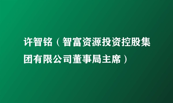 许智铭（智富资源投资控股集团有限公司董事局主席）