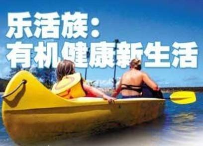乐活族（新兴生活型态族群）
